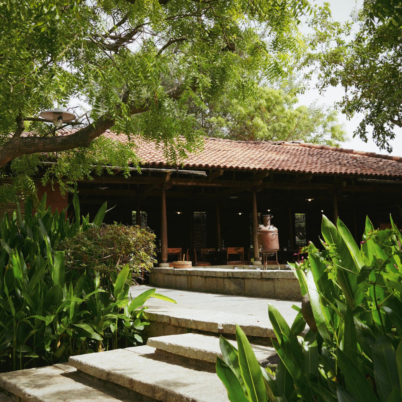 12-DSC00643