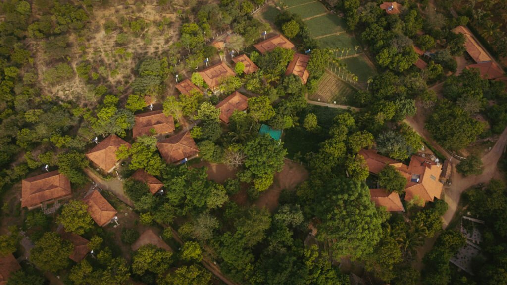 2 DJI 0477